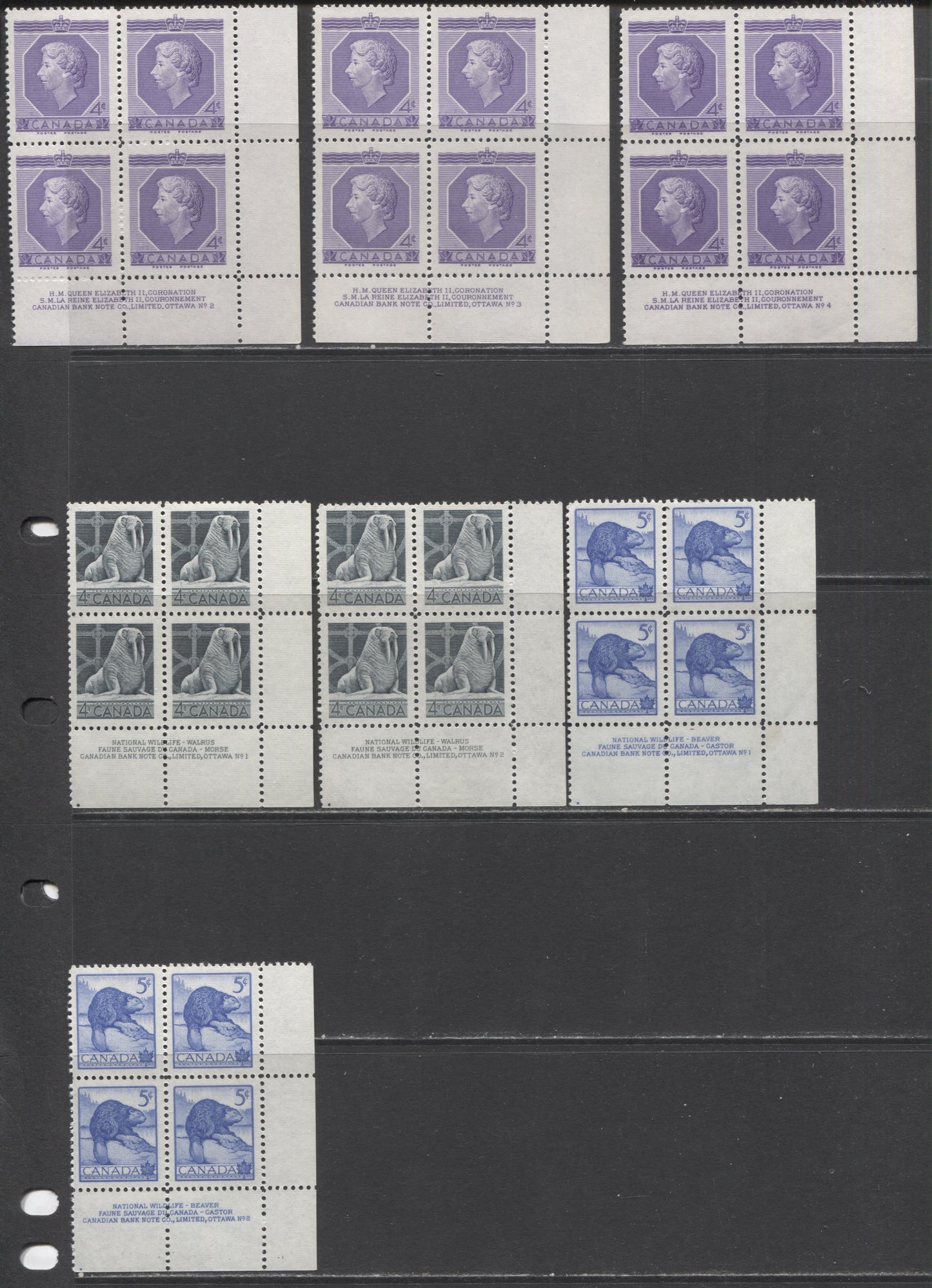 Lot 57 Canada #330, 335-337 1c - 5c Violet Brown - Ultramarine Queen Elizabeth II - Beaver, 1953-1954 Coronation, Wildlife & Wilding Issues, 11 Fine NH and VFNH LR Plates 1-4 Blocks Of 4