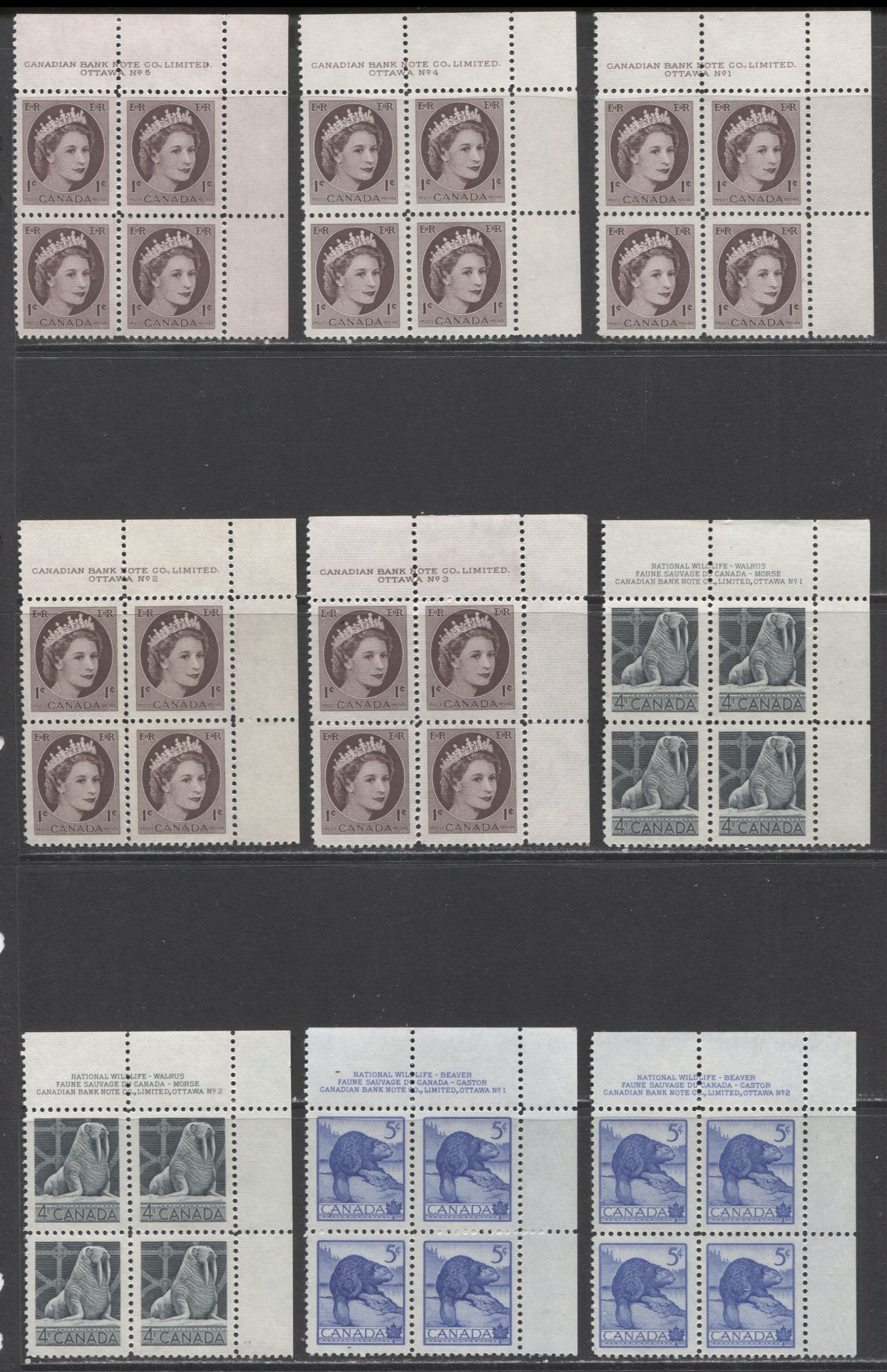 Lot 66 Canada #335-337 1c - 5c Violet Brown - Ultramarine Queen Elizabeth II - Beaver, 1954 Wildlife & Wilding Issues, 9 VFNH UR Plates 1-5 Blocks Of 4