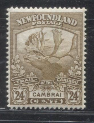 Newfoundland #125 24c Bistre Brown Cambrai, 1919-1923 Trail of the Caribou Issue, A Very Fine Mint OG Example, Line Perf. 14.1 x 14