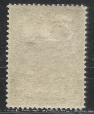 Newfoundland #125 24c Bistre Brown Cambrai, 1919-1923 Trail of the Caribou Issue, A Very Fine Mint OG Example, Line Perf. 14.1 x 14