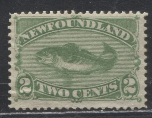 Newfoundland #46i 2c Deep Yellow Green Codfish 1880 Cents Issue, A Fine Mint Disturbed OG Example of the Montreal Printing on Stout Horizontal Wove Paper, Perf. 12.1