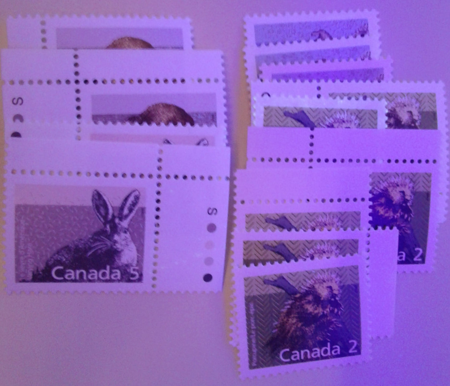 Canada #1180c 80c Multicolored Peary Caribou 1988-1991 Wildlife and Architecture Issue, VFNH UL Field Stock Block on Unlisted DF/LF Peterborough Paper