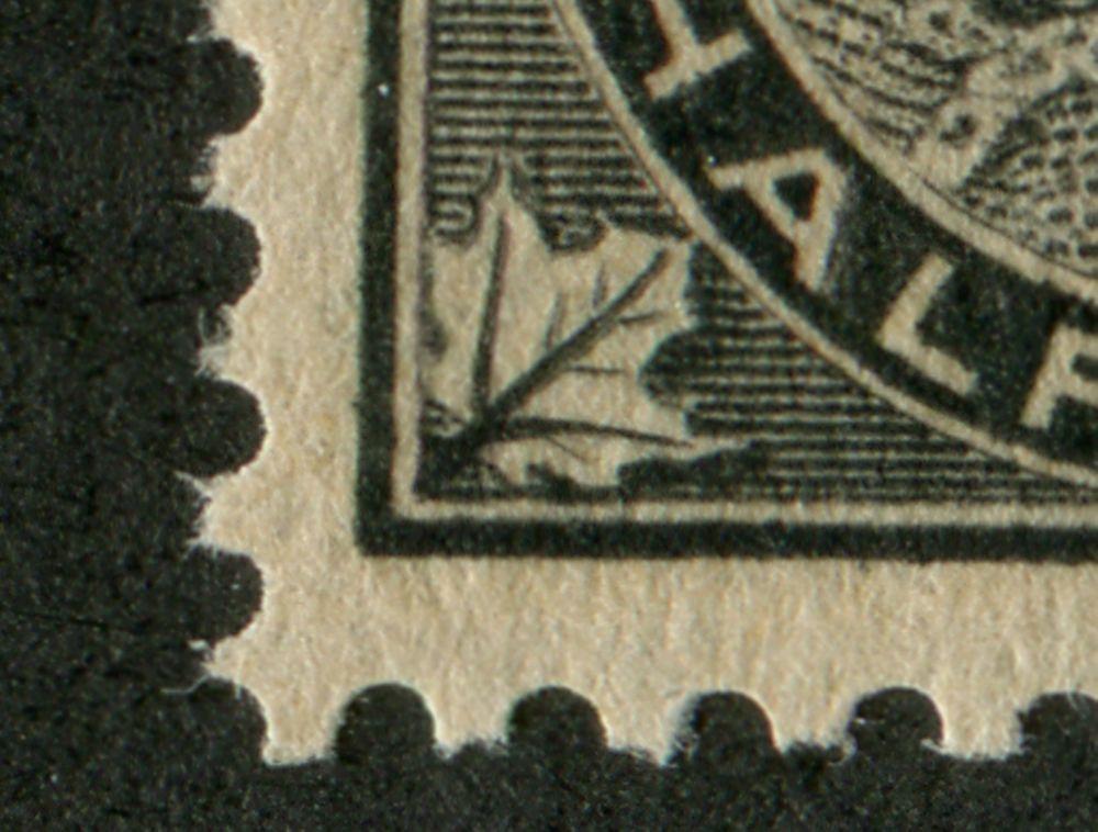 Canada #66 (SG#142) Half Cent Black 1897-1898 Maple Leaf Issue Re-Entry VF-84 NH Brixton Chrome 