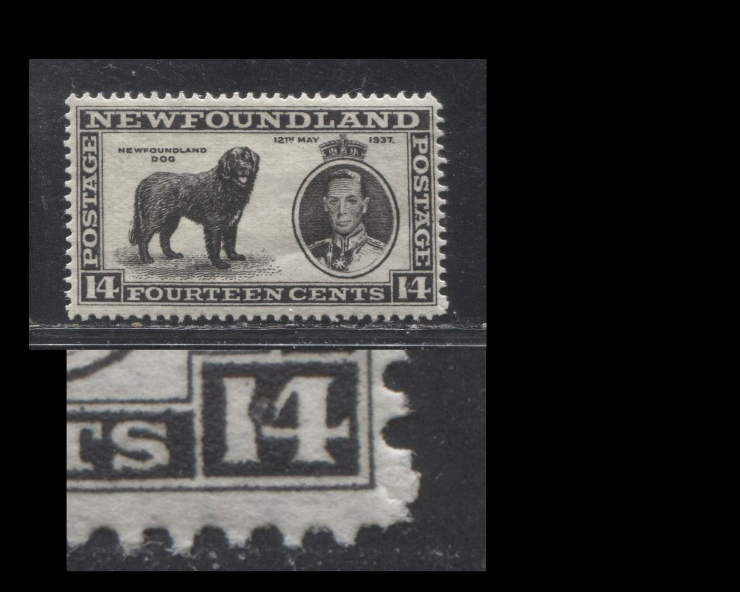 Lot 128A Newfoundland # 238ix 14c  Black King George VI and Newfoundland Dog, 1937 Long Coronation Issue, A VFOG Example, Line Perf. 13.9, Dot on Right 14
