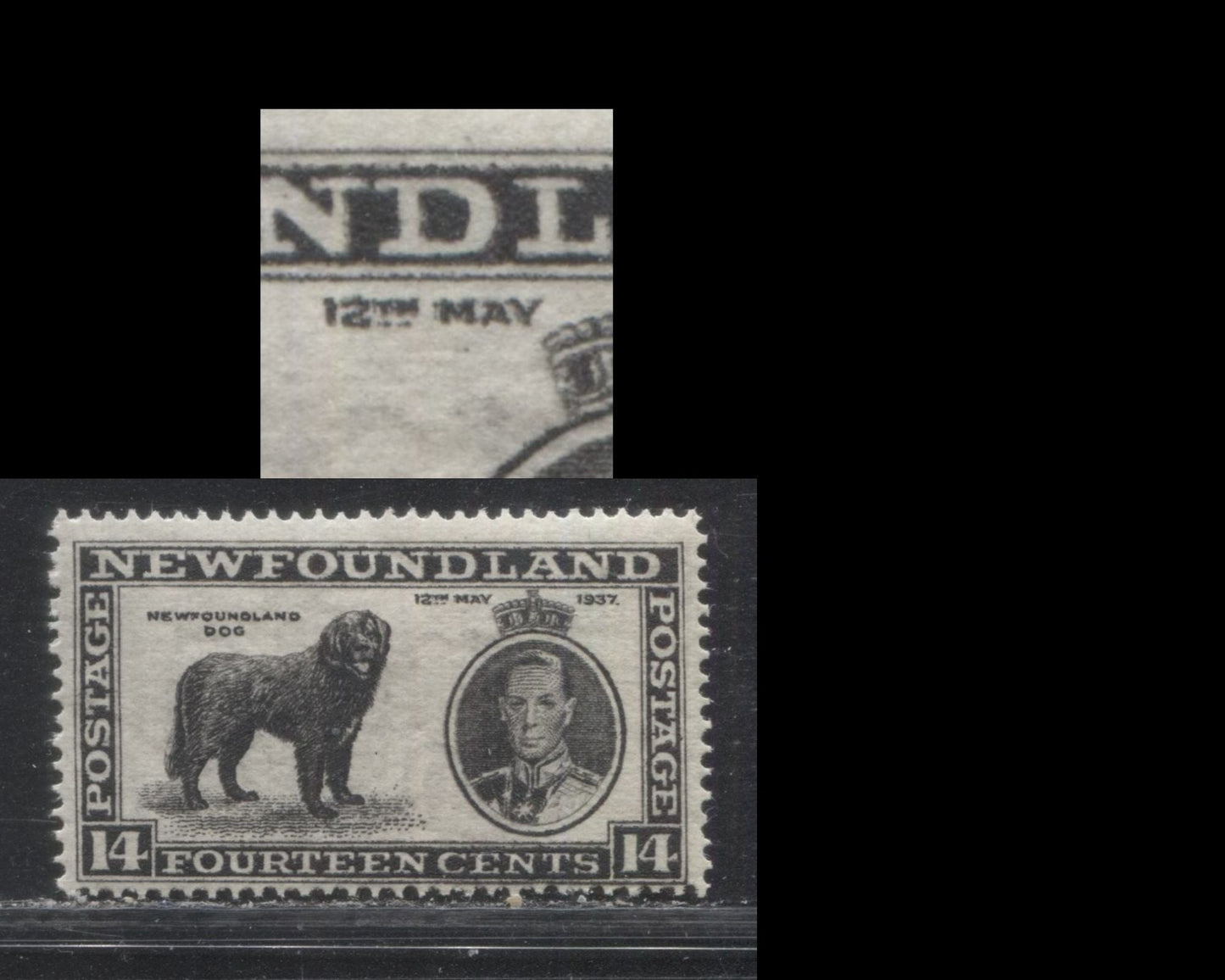 Lot 128 Newfoundland # 238ix 14c  Black King George VI and Newfoundland Dog, 1937 Long Coronation Issue, A VFOG Example, Line Perf. 13.9, Position 10 Re-Entry