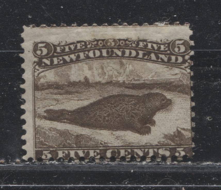 Lot 31 Newfoundland #25 5c Brown Harp Seal, 1868-1894 First Cents Issue, A Very Good Unused Single
