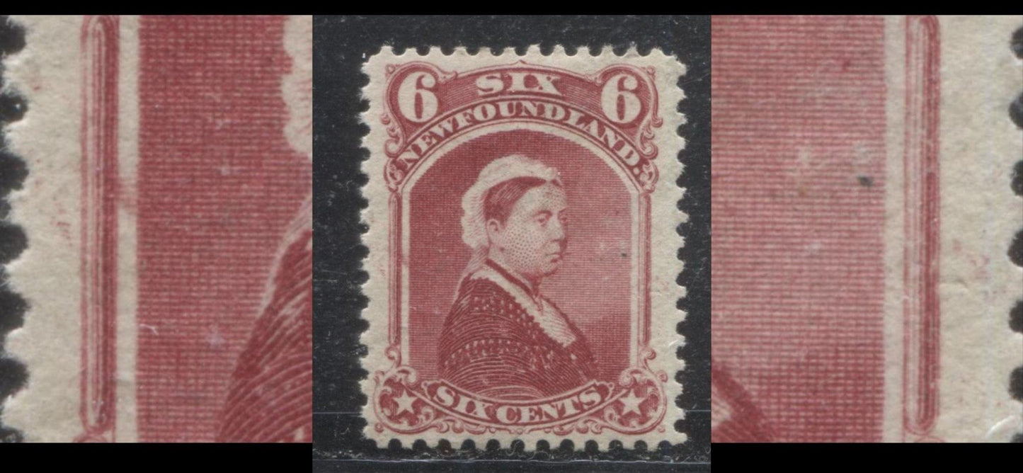 Lot 46 Newfoundland #36 6c Carmine Lake Queen Victoria, 1894 Second Cents Issue, A Very Fine Unused Single, Falling Rocks Variety, And Misplaced Entry