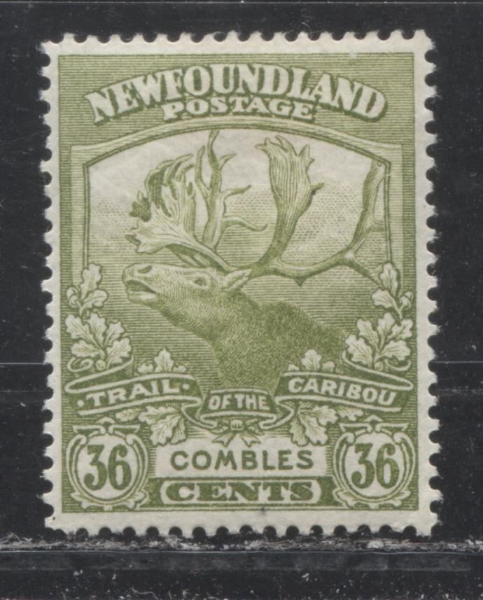 Lot 47 Newfoundland # 126 36c Sage Green Caribou & Combles, 1919-1923 Trail of the Caribou Issue, A VFOG Example, Line Perf. 14.2 x 14