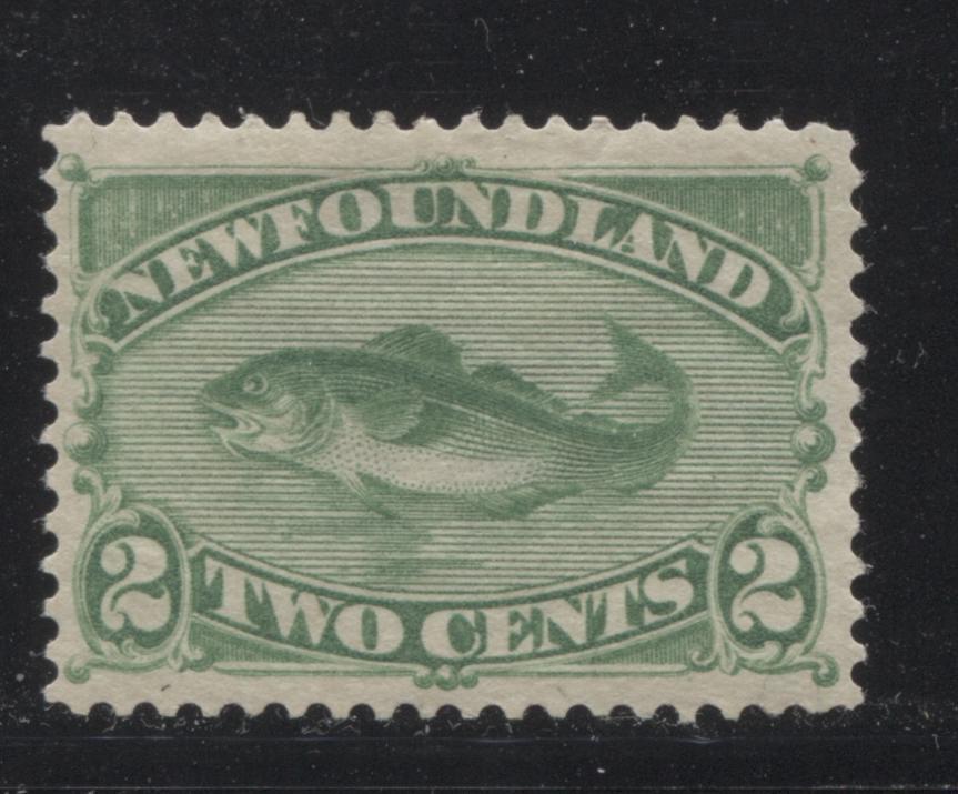 Lot 60 Newfoundland #46i 2c Deep Yellow Green Codfish, 1882 Third Cents Issue, A VFOG Single On Horizontal Wove Paper, Perf 12.2