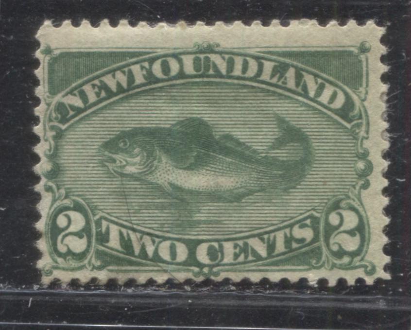 Lot 62 Newfoundland #47 2c Deep Green (Green) Codfish, 1896 Third Cents Issue, A Very Good OG Single With A Small Crease, Perf 12