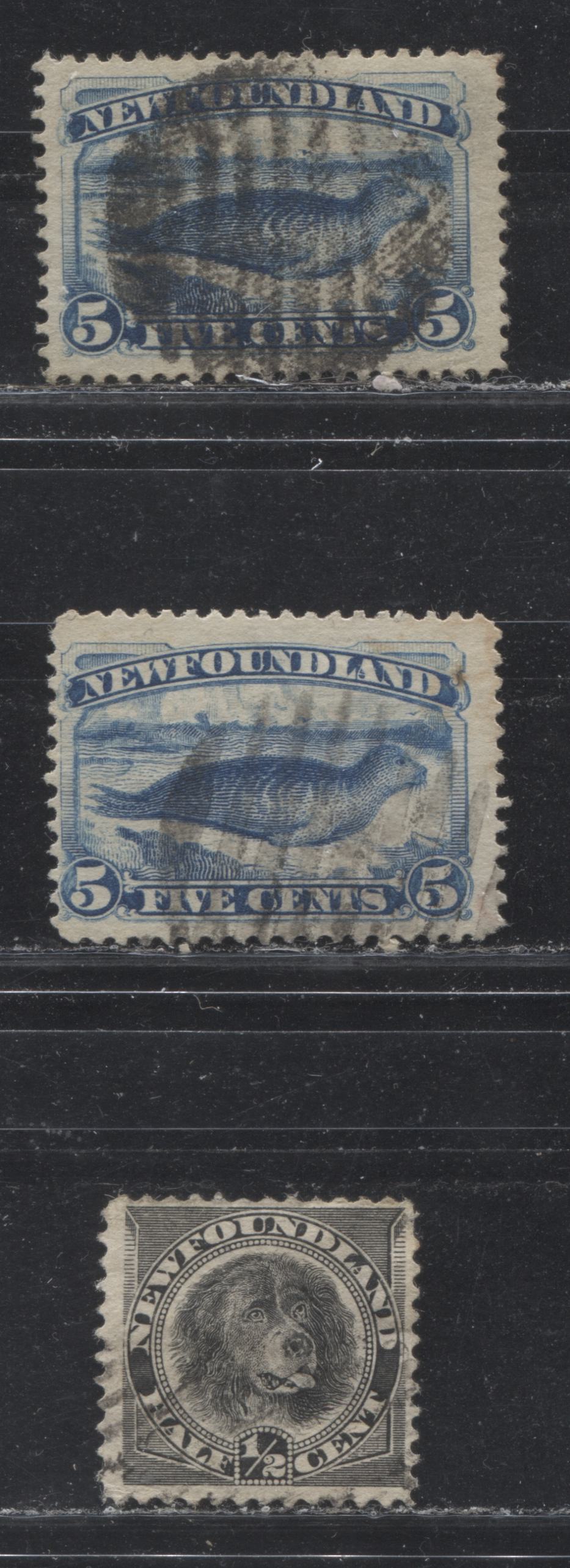 Lot 70 Newfoundland #55,58 5c & 1/2c Bright Blue & Black Harp Seal & Newfoundland Dog, 1894 Third Cents Issue, 3 Fine Used Singles On Horizontal Wove Paper, Perfs 12.2, 12.1 & 12