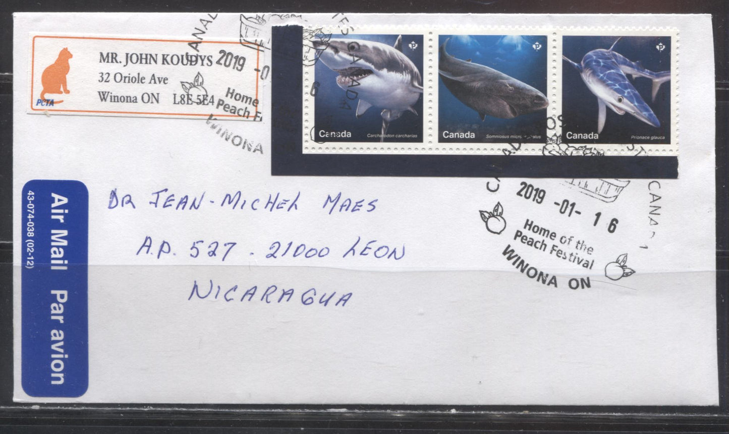 Lot 7 Canada #3105c-e 2018 Sharks Issue, a Combination Use of Souvenir Sheet Stamps on 2019 Airmail Cover to Nicaragua