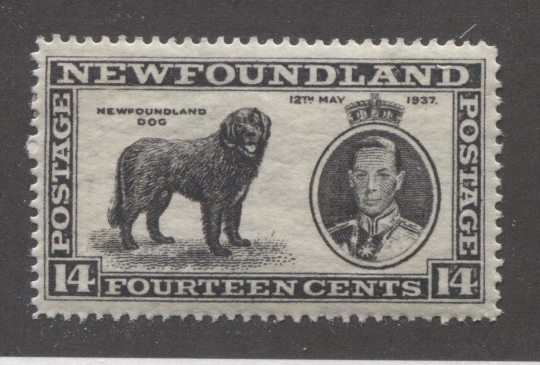 Newfoundand #238v 14c Black 1937 Long Coronation Issue "Male Dog and Shilling Mark" Varieties VFOG, Perf. 14.25 Line Brixton Chrome 