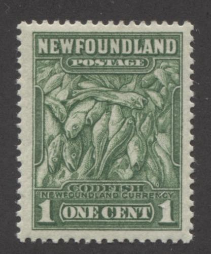 Newfoundland #183 (SG#209) 1c Yellowish Green Codfish 1932-37 Resources Issue Perf. 13.7 x 13.5 VF-75 OG Brixton Chrome 