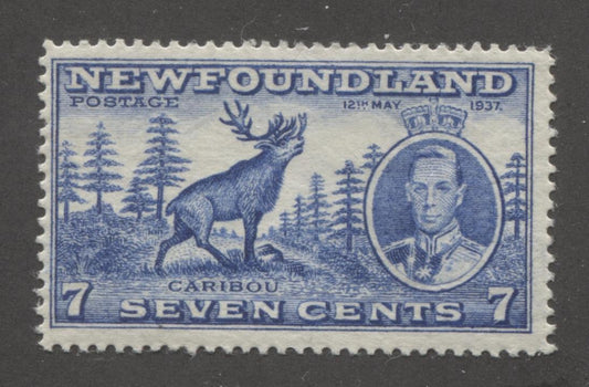 Newfoundland #235 (SG#259) 7c Deep Dull Blue 1937 Long Coronation Perf. 14.25 F-70 OG Brixton Chrome 