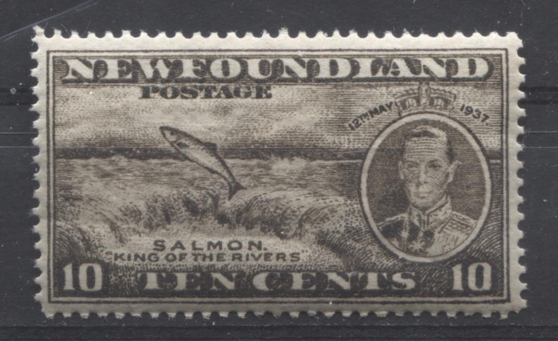 Newfoundland #237 (SG#261b) 10c Brownish Black 1937 Long Coronation Perf. 13.9 VF-75 NH Brixton Chrome 