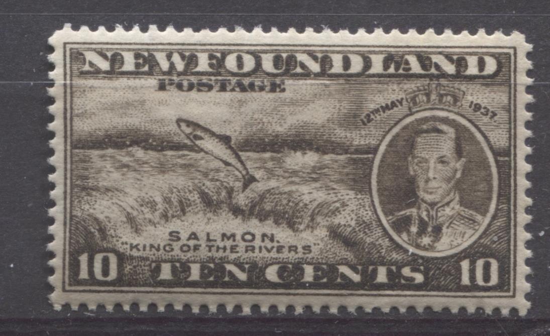 Newfoundland #237 (SG#261b) 10c Brownish Blk 1937 Long Coronation Perf. 13.8 x 13.9 VF-84 NH Brixton Chrome 