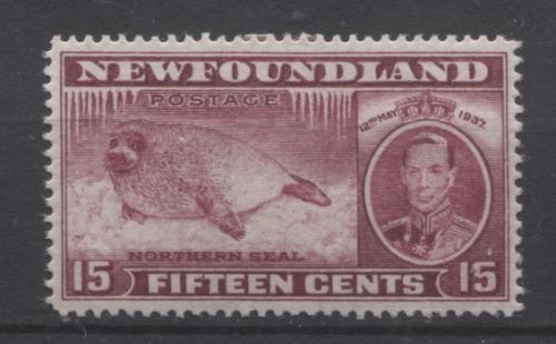 Newfoundland #239 (SG#263) 15c Brown Purple 1937 Long Coronation Perf. 14.25 VF-84 OG Brixton Chrome 