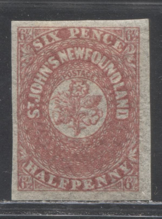 Newfoundland #21 61/2d Deep Rose, Heraldic Flowers, 1861-1862 Pence Issue, A Very Fine Unused Example On Thick Hard Paper